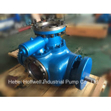 CE Approved W. V Bonemann Twin Screw Pump